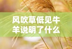 风吹草低见牛羊说明了什么二年级