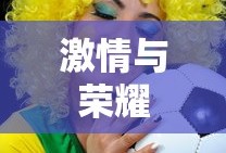 足球盛宴，激情与荣耀的2013年