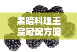 黑暗料理王皇冠配方图鉴大全