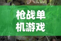 枪战单机游戏排行榜前十名