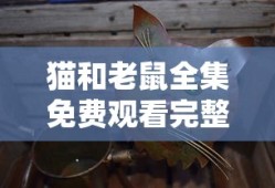 猫和老鼠全集免费观看完整版
