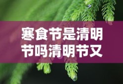 寒食节是清明节吗清明节又叫寒食节吗