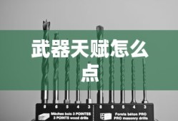 武器天赋怎么点