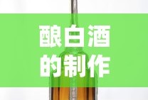 海贼王11位超新星排行