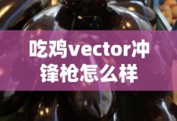 吃鸡vector冲锋枪怎么样