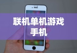 联机单机游戏手机