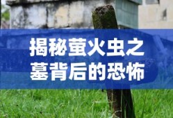 揭秘萤火虫之墓背后的恐怖真相