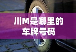 川M是哪里的车牌号码