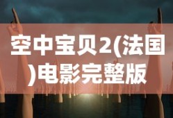 空中宝贝2(法国)电影完整版