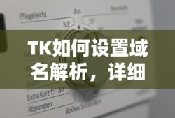 TK如何设置域名解析，详细步骤与注意事项