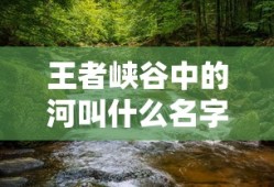王者冠军杯直播在哪看