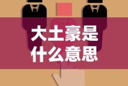 大土豪是什么意思