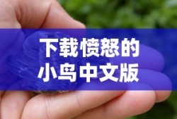 下载愤怒的小鸟中文版，游戏魅力与体验分享，愤怒的小鸟中文版游戏魅力与体验分享