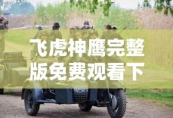 飞虎神鹰完整版免费观看下载