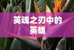 英魂之刃中的英雄