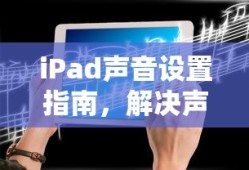 b2驾照可以开什么车正确答案