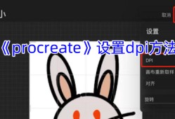 Procreate调整DPI超详细教程 3分钟掌握专业画布设置技巧
