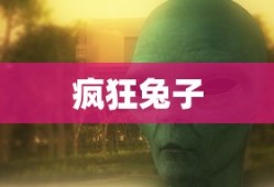 疯狂兔子的奇妙世界，疯狂兔子的梦幻奇妙世界
