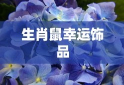 风云三国2.8 npc位置