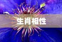 经典语录中的快乐源泉，探寻爱笑的智慧