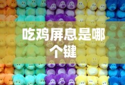 吃鸡屏息是哪个键