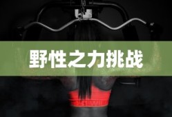 狼人杀说话套路技巧