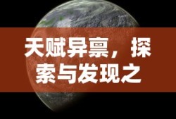 天赋异禀的探索与发现之旅