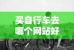买自行车去哪个网站好