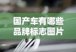 国产车有哪些品牌标志图片