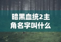 暗黑血统2主角名字叫什么