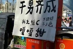山寨论坛，现象、挑战与未来展望