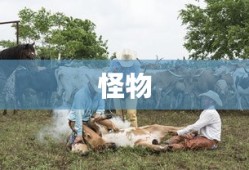 流沙之城魔魂获取全解析