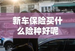 新车保险买什么险种好呢