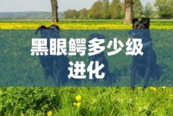 黑眼鳄多少级进化