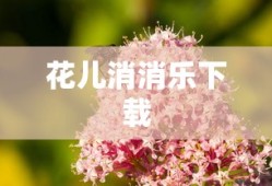 花儿消消乐下载