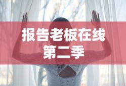 报告老板在线第二季