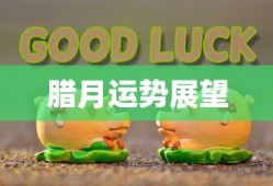 我叫坂本我最樱花动漫