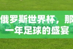 俄罗斯世界杯，足球的盛宴之年