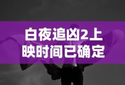 白夜追凶2上映时间已确定在哪个卫视播出
