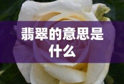 翡翠的意思是什么