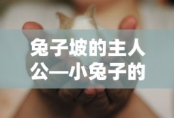兔子坡，小兔子的冒险之旅