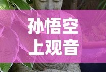 孙悟空上观音菩萨免费观看