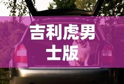 吉利虎男士版