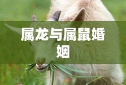 新拿驾驶证能否扣分？一文解答你的所有疑惑