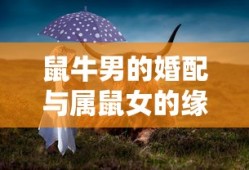 鼠牛男的婚配与属鼠女的缘分，生肖配对的美好探讨