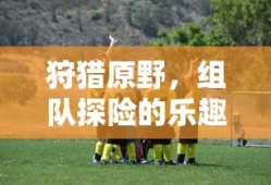 狩猎原野，组队探险的乐趣手游解析