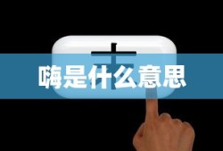 嗨是什么意思