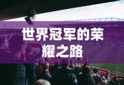世界冠军的荣耀之路，成就巅峰的奋斗历程