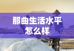 那曲生活水平怎么样