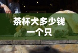 茶杯犬多少钱一个只